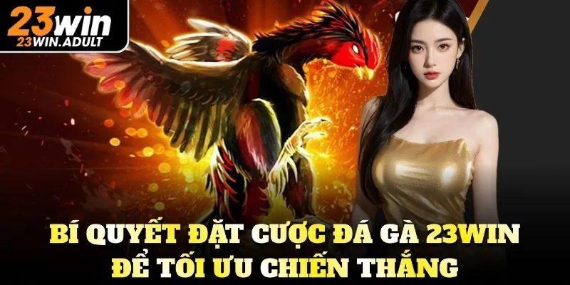 Bí quyết đặt cược đá gà 23Win để tối ưu chiến thắng